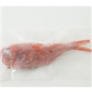 勝浦産 釣り金目鯛