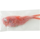 ���Y�Y �ނ���ڑ�