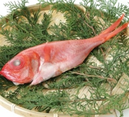 ���Y�Y �ނ���ڑ�